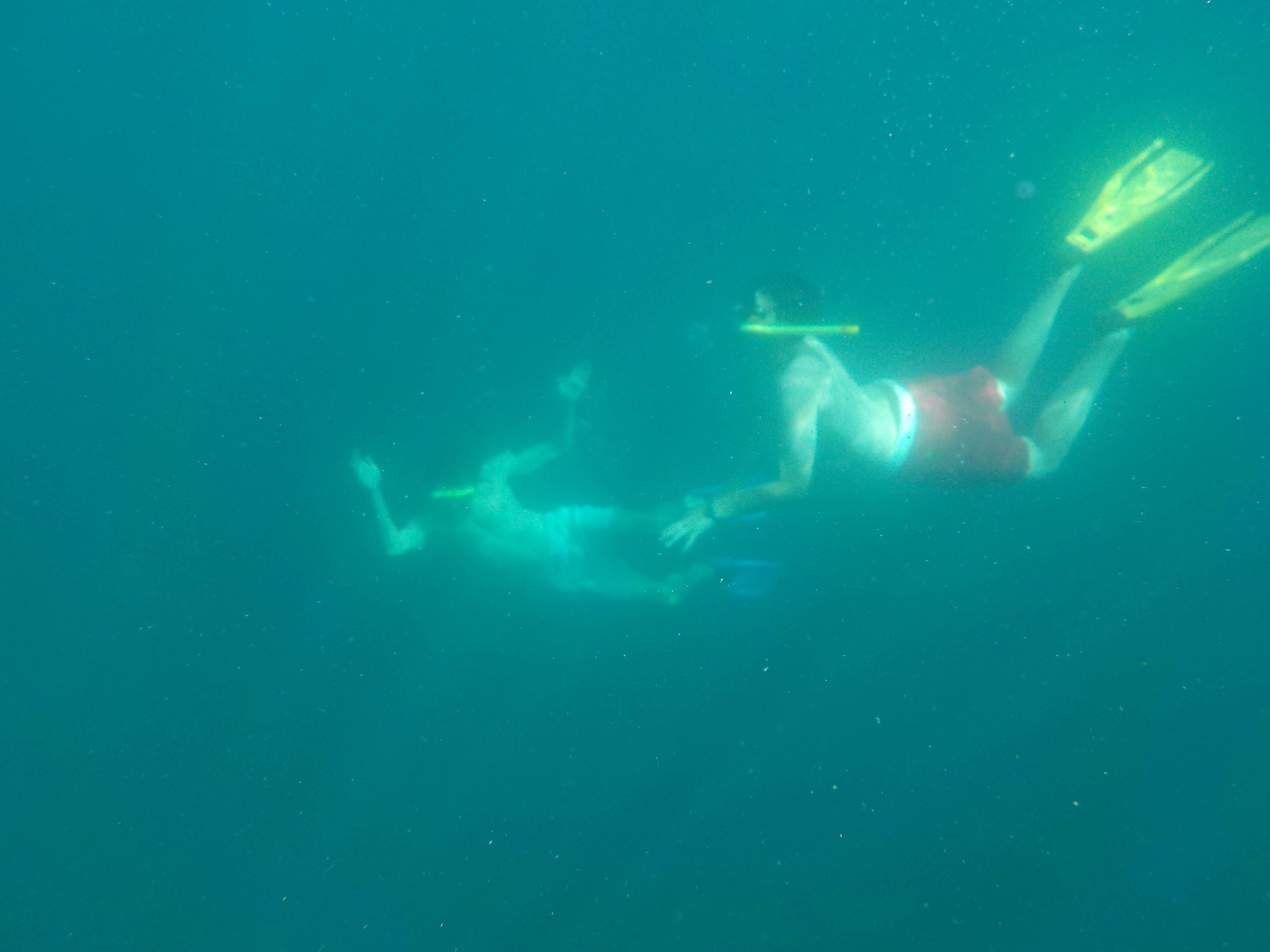 Jono and Teddy dive deep