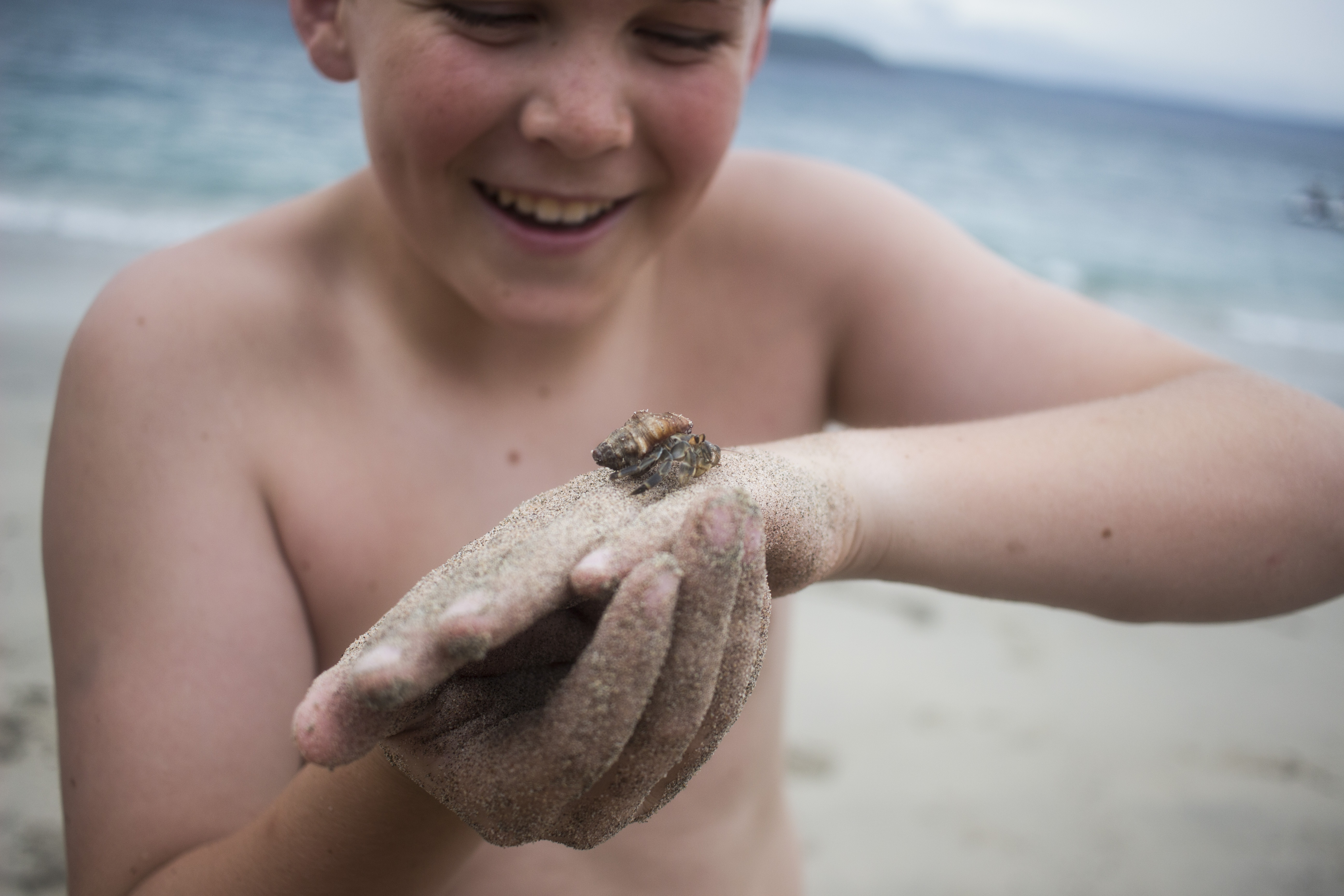 Timmy_crab